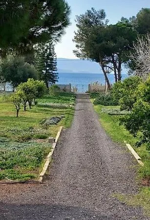 Coralia'S Beachfront Sea View Studio Agioi Theodoroi Exterior photo
