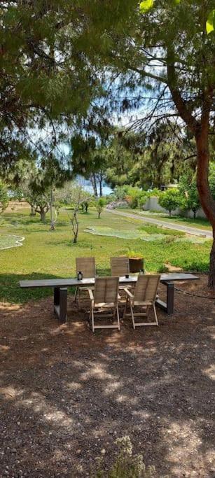 Coralia's Beachfront Sea View Villa