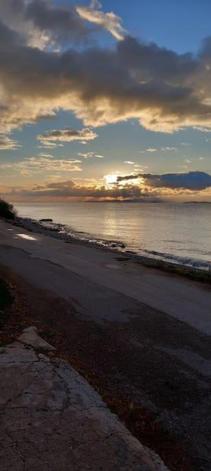 Coralia's Beachfront Sea View