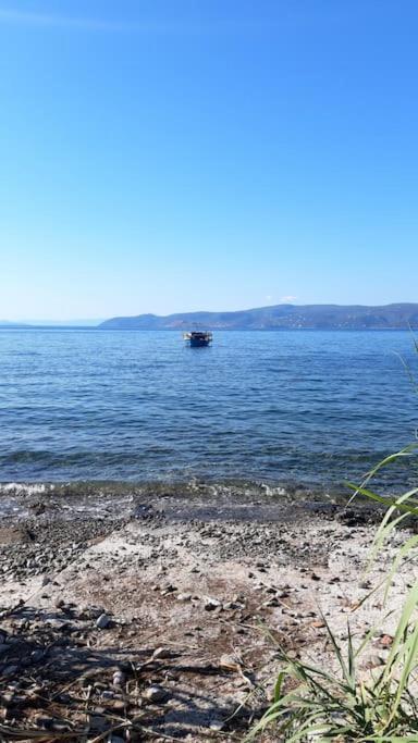 Villa Coralia's Beachfront Sea View *
