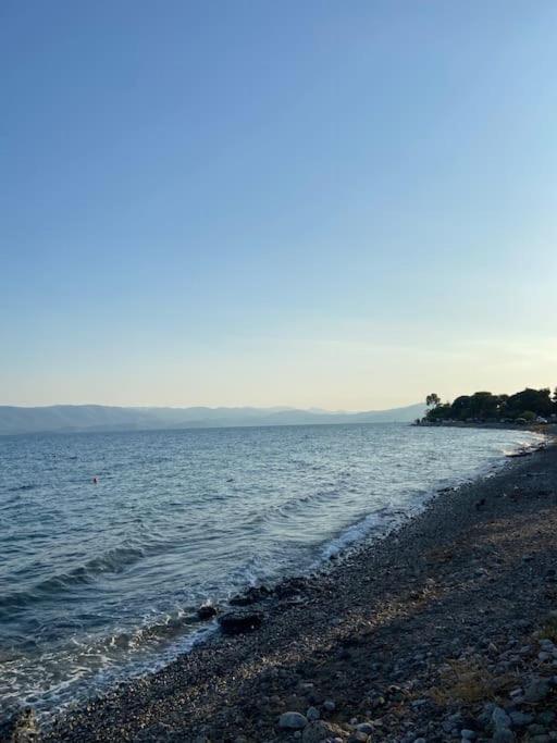 Villa Coralia's Beachfront Sea View Agioi Theodoroi
