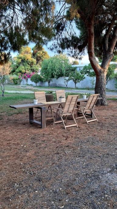 Villa Coralia's Beachfront Sea View