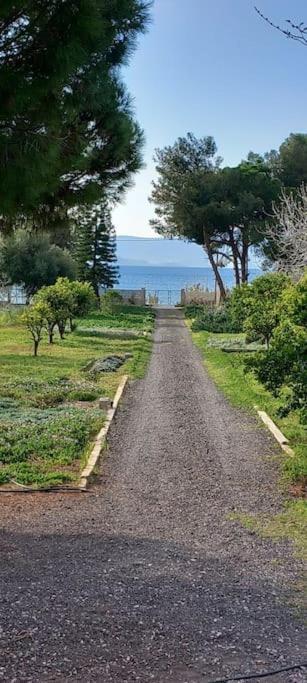 Coralia's Beachfront Sea View Villa *